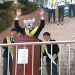 [추억파리여] 대한민국의 미래가 걱정되는 이유