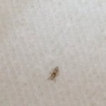 [EXO] 아까<b>오전</b>에 내머리에서 떨어진건데