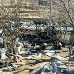 [한나네] [속보] 안타까운 유기<b>동물</b> 보호소 화재 발생!!!