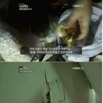 [추억파리여] 진심 욕나오는 패륜아 <b>jpg</b>