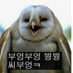 [EXO] 애들아 너네 아침에 어떻게 <b>세수</b>함?