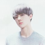 [EXO] 오늘은 더<b>셀럽</b> 교보에