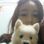 [강아지] 4개월된 스피츠 사랑이 1편