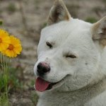 [EXO] 인창고 <b>동창생</b>들의 딜리셔스 