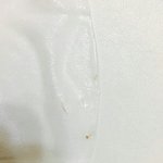 [꼭조언부탁] 마몽x 팩에서 <b>거미</b>가 나왔어요; (사진첨부)