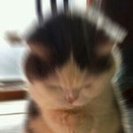 [EXO] 노란<b>색옷</b>..귀엽게..