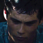 [뉴트] 아무것도 기억이 안나서 속상한 <b>토미</b> 