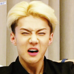 [EXO] 세훈이 누구 닮았는지 알아냄