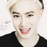 [수호] 이사진원좀제발