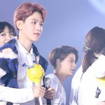 [EXO] 백현 백허그하는 빅토리아