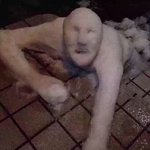 [EXO] 애들오늘어디감?