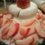 <b>설빙</b>원래이런가요ㅋㅋㅋㅋㅋㅋㅋ