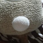 [EXO] 존나 뜬금인데 우리집 <b>강아지</b> <b>옷</b> 입었는뎈ㅋㅋㅋㅋ