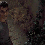 [뉴트] 카메라 발견한 <b>토미</b> 