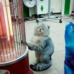 [EXO] 자기폰 <b>갤럭시</b>다vs아이폰이다