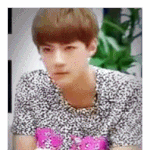 [EXO] 이 많고 많은 좋은 가사들중에