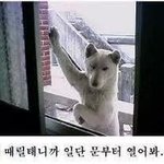 [exo] 야근데 너네는 <b>소진</b>이 어떻게 글을써야 만족?