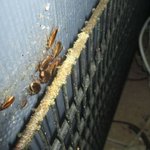 [추억파리여] (극혐)<b>런던</b>의 어느 중국식당