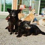 추위와 굶주림에 떨고 있었던 청실이와 홍실이