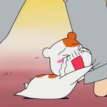 [에휴] 추가+)남자들다키작녀좋아함