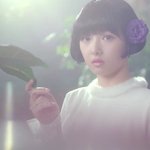 [소나무] 소나무에서 <b>덕후몰</b>이할꺼 같은 멤버
