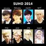 [수호] 연말마무리)수호의 2014년 1~12월<b>모습들</b>