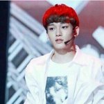 [EXO] 김종대 <b>박찬열</b> 도플갱어설