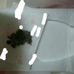 [어이없음] ㅇ<b>xxx</b>생리대 또 이물질나옴