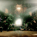 [소나무] 조성모가 매실음료수 들고나올꺼 같은 분위기 ㅋㅋㅋㅋ 