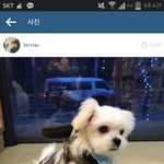 [EXO] 타오는 <b>캔디</b>의 아빠일까 오빠일까