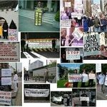 [꼭봐주세요] 신종범죄피해자들과 관련자료입니다.