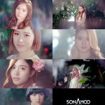 ts엔터테이먼트소나무 프로듀서 라인업공개!