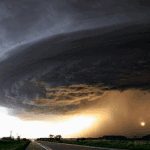 [추억파리여] 인간은 절대로 자연을 이길수 없다