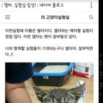 [추억파리여] 너무 잔인한 우리나라 <b>동물</b> 학대범ㄴ