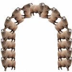 [<b>지린</b>다] 진짜 양아치.jpg