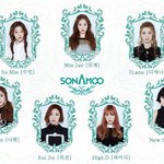 [소나무] 인간 트리 변신한 크리스마스 소나무