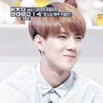 [exo] 캉언냐들 웃긴일화ㅋㅋㅋㅋㅋ
