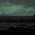 [추억파리여] 신비한 심해 <b>생물</b> 뱀파이어 오징어