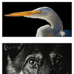 [<b>루니</b>시] 미술 천재 소녀의 그림