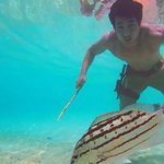 [<b>지린</b>다] 흔한 방송용 물고기의 위엄ㅎㄷㄷ