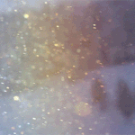 [추억파리여] 동화속으로 떠나는 겨울 이야기