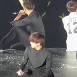 [카이] 이 움짤 갖고있는 <b>인어</b>?