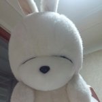 [EXO] 뭐야 우리<b>집</b> 준며<b>니</b>랑 존똑