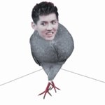 [EXO] 너네 왜 우이.판이랑 루.한한테 비둘기라 그럼?;;;;