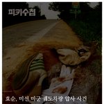 [추억파리여] 실화이야기 함께 하지 못한 4강 <b>신화</b>
