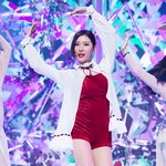 다리밖에 안보이는 선미