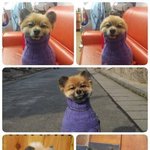 [<b>지린</b>다] 개목티.jpg