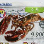 [진심개빡침] 홈플러스 봐주기 끝판왕