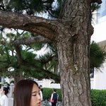 [<b>소나무</b>] <b>소나무</b>가 <b>소나무</b>랑 찍은사진 ㅋㅋㅋㅋㅋㅋ 