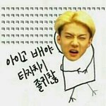 [EXO] 누가 뭐라고해도 제일 <b>센스</b>있는 카감은